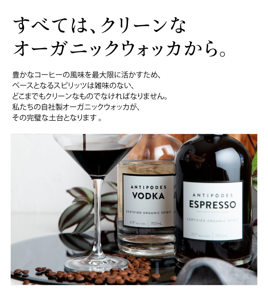 アンティポディース オーガニック エスプレッソリキュール 25度 700ml 公式限定ギフトボックス&amp;オリジナルコースター付