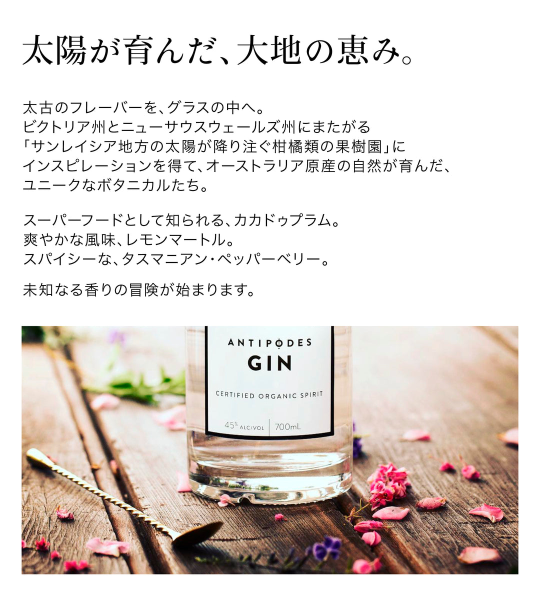 アンティポディース オリジナルジン 45度 700ml 公式限定ギフトボックス&amp;オリジナルコースター付
