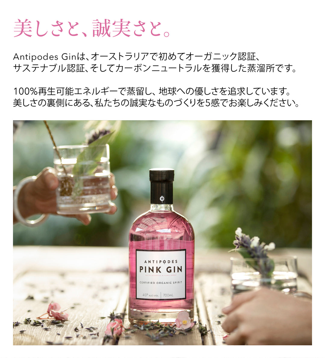アンティポディース ピンクジン 40度 700mL  公式限定ギフトボックス&amp;オリジナルコースター付